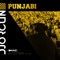 Punjabi (Tech House Mix) artwork