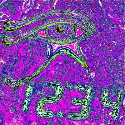 Spring Rebirth - Single