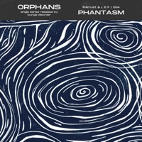Phantasm - Single - Linkrust & L E F