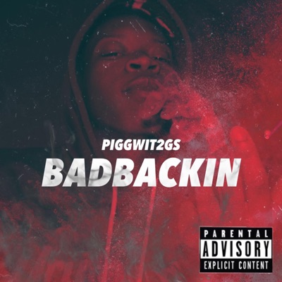 Piggwit2Gs - BadBackin