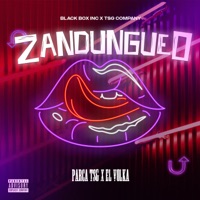 Zandungueo (feat. El Volka) - Single - Parca TsG