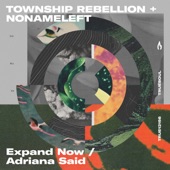 Expand Now (Extended Mix) artwork