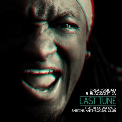 Last Tune (feat. Kush Arora & Smerins Anti-Social Club) - Single