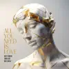 ALL YOU NEED IS LOVE (FESTIVAL EDIT)