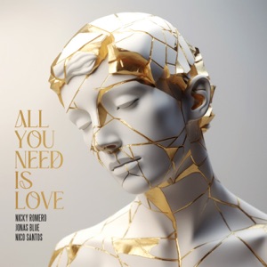 Nicky Romero, Jonas Blue & Nico Santos - All You Need Is Love - Line Dance Music