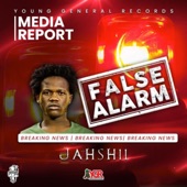 False Alarm artwork