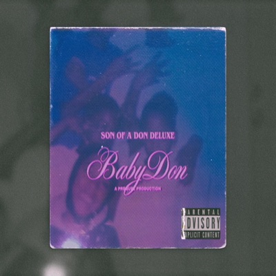 Son Of A Don II