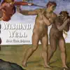 Wishing Well - Flying Finn