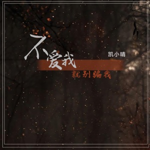 不爱我就别骗我 - Single
