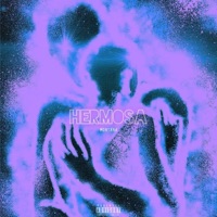 HERMOSA - Single - Montana