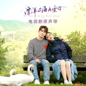You'll Never Walk Alone (Original TV Drama Soundtrack)