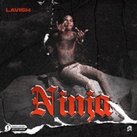 Ninja - Single - StepfatherJay & Cpt.lavish