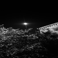 Mental Health Support Music - Single - HaloDD