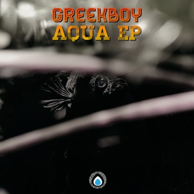 Aqua - EP