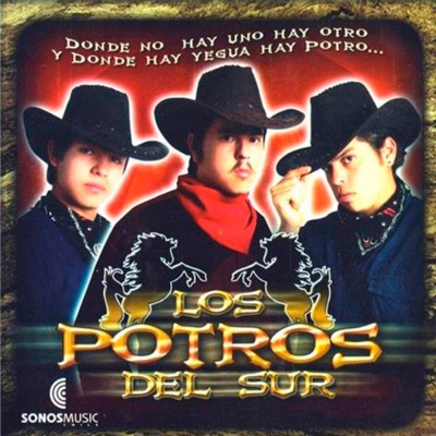 Song - La Múcura y a Quién - Los Potros Del Sur