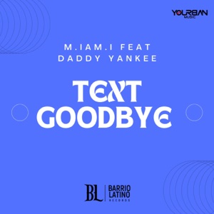 Goodbye (No Te Quise Perder) [feat. Daddy Yankee] [Spanglish Version]