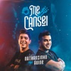 Me Cansei - Single
