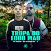 Tropa do Lobo Mau (feat. SPACE FUNK) - Single