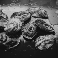 I'm Outside Now - Single - OystahGuy