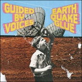 Guided By Voices - The Best of Jill Hives