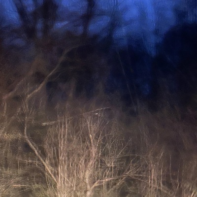 The Circumnavigation of Your Being. - Single