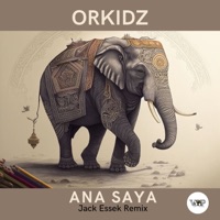 Ana Saya (Jack Essek Remix) - Single - Orkidz & CamelVIP