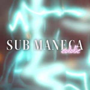 Sub Maneca (feat. tdrl)