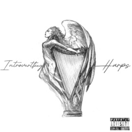 Harps Introvertkey