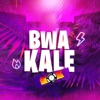 Bwa Kale (feat. T-Babas) - Single