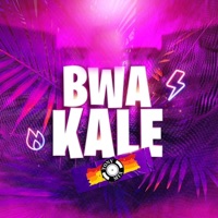 Bwa Kale (feat. T-Babas) - Single - Tony Mix