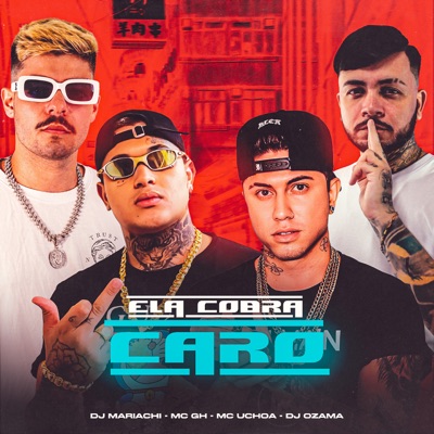 Ela Cobra Caro (feat. DJ MARIACHI) - Single