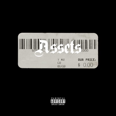 Assets - Single