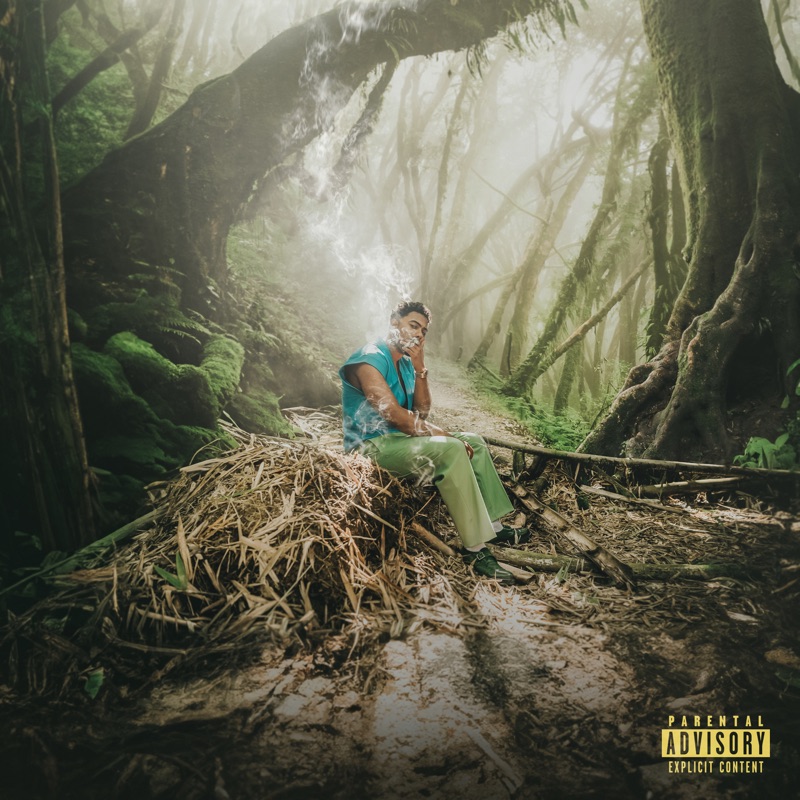 Meaning of LA CAPI by Myke Towers