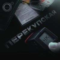 Перекупская - Single - 4k