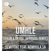 Umhle (Lebzin & Dr Feel AfroSoul Remix) (feat. Nomvula SA) [Radio Edit] artwork