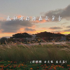 感谢有你陪在我身旁 (DJ阿卓版) - Single