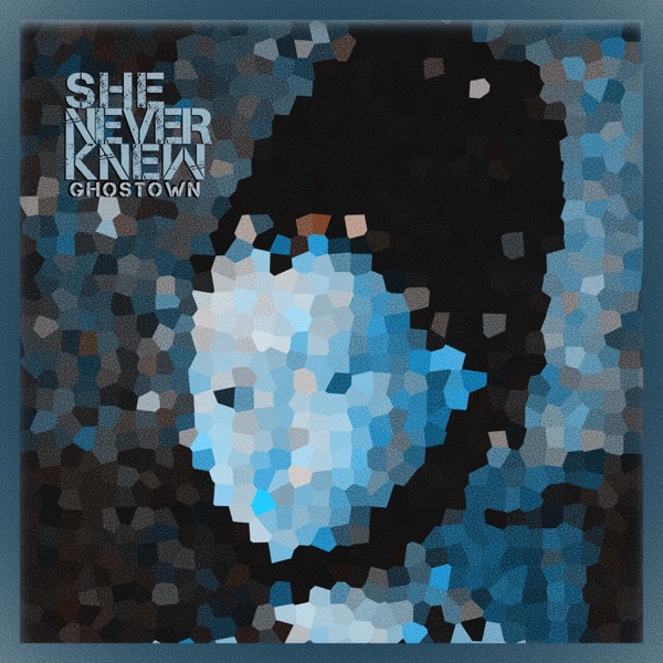 She Never Knew - Single artwork