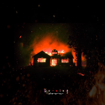 Burning Down (feat. Lurk) - Single