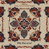 Dik Durarız artwork