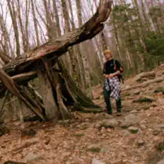 Listen to Ferb, watch music videos, read bio, see tour dates & more!