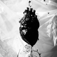 Dead Omen (feat. Slxttycatx & Tar) - Single - BleachBoy