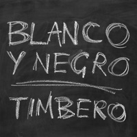 Album cover for The Caretaker by Blanco Y Negro