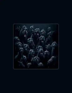 Posłuchaj wykonawcy NaRi, obejrzyj teledyski, przeczytaj biografię, zobacz daty tras koncertowych i nie tylko!