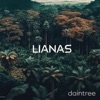 Daintree - EP