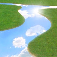 Dead or Alive - Single - Von Storm