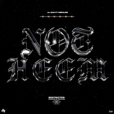 Not Heem (feat. Dripoline) - Single