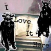 I Love It Here - Single