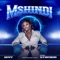 Mshindi (feat. Stamina Shorwebwenzi) - Appy Tz lyrics