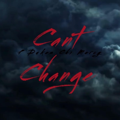 Cant Change (feat. Chi Mercy) - Single