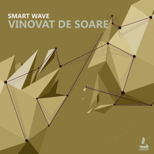 Vinovat De Soare - Single